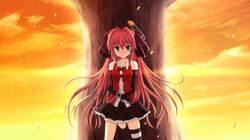 Post 529635
