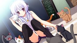 Post 529636