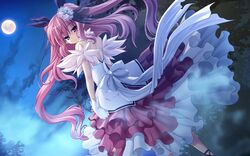 Post 535194
