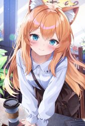Post 6079261