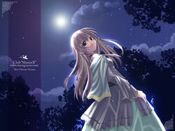 Post 53220