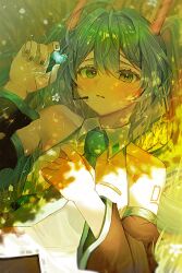 Post 6120381