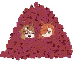 Post 6279127