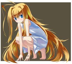 Post 554758