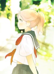 Post 555676