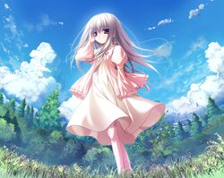 Post 555935