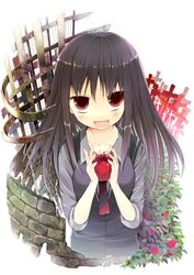 Post 556559