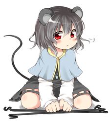 Post 556612