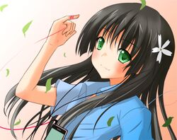 Post 557322