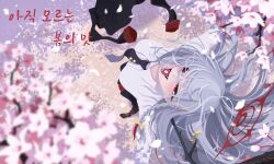 Post 6490141