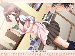 Post 560619