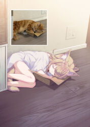 Post 6510109