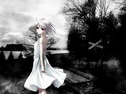 Post 55223