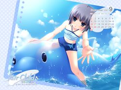 Post 563108