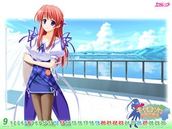 Post 563724