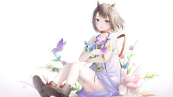 Post 6654205