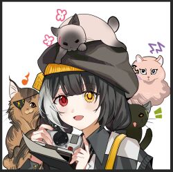Post 6796017