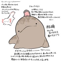 Post 6915453