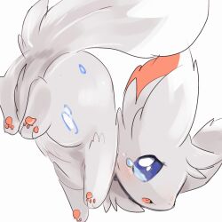 Post 6917523