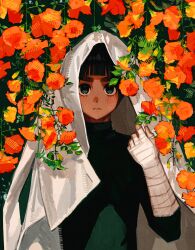 Post 6973932