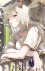 Post 7061862