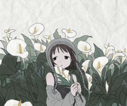 Post 6737154