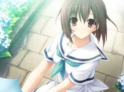 Post 59917
