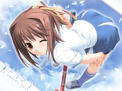 Post 59916