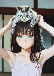 Post 6769168