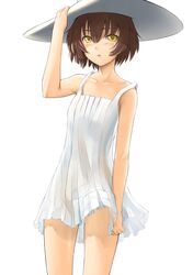 Post 621318