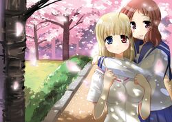 Post 627104
