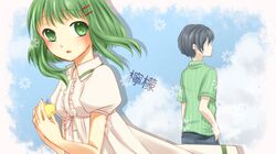 Post 656949