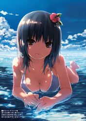 Post 658554