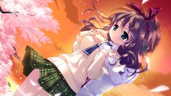 Post 679653