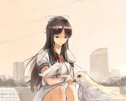 Post 679650