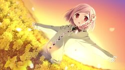 Post 697226