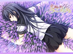 Post 702742