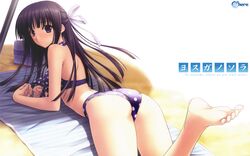Post 709774