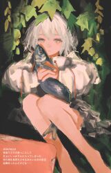 Post 6965237