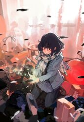 Post 1427632