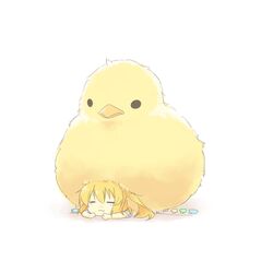 Post 737071