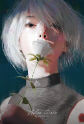 Post 7041464