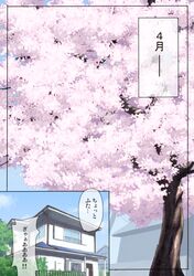 Post 767733