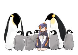 Post 7084021