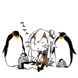 Post 5569474