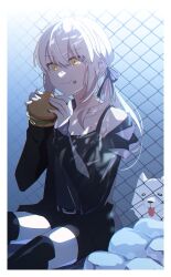 Post 6007989