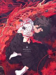 Post 6052089