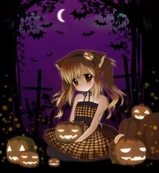 Post 800287