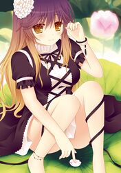 Post 801202