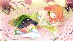 Post 801888